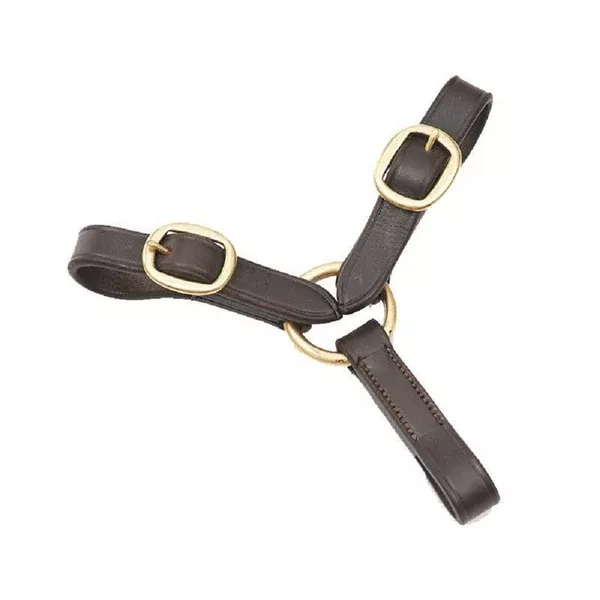 Grainge 2 Buckle Argosy