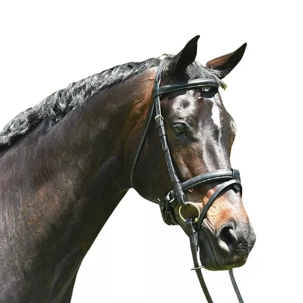 Grainge Elite Dressage Snaffle Bridle.