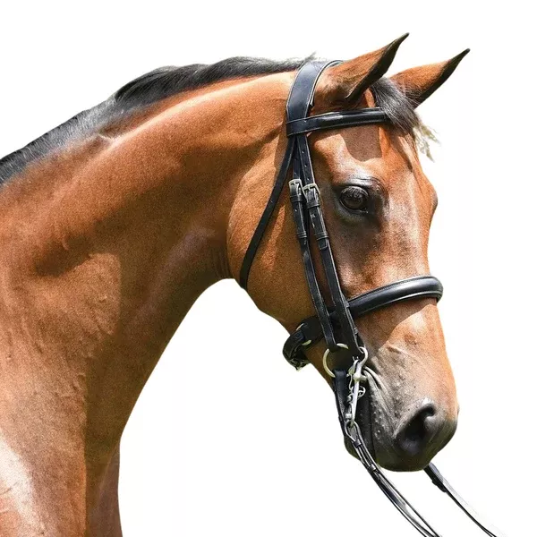 Grainge Elite Dressage Weymouth Bridle
