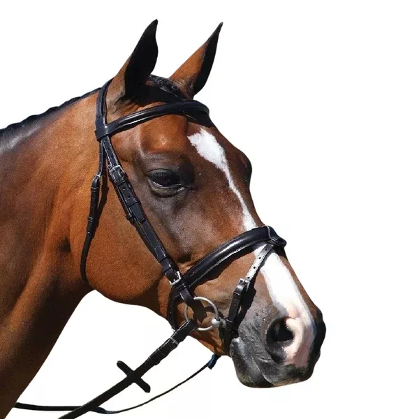 Grainge Elite Event Snaffle Bridle