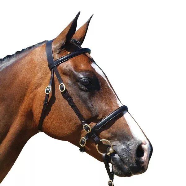 Grainge Elite Inhand Bridle