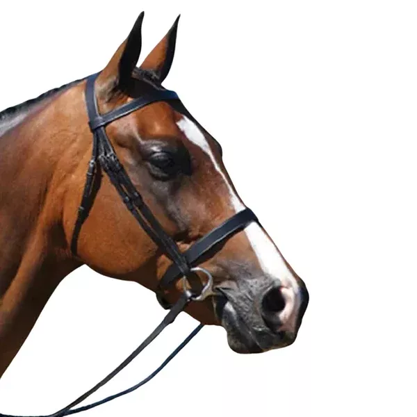 Grainge Elite Show Snaffle Bridle