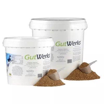 GutWerks