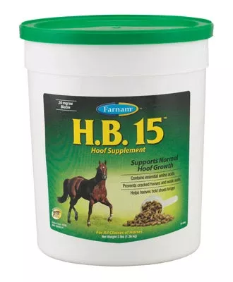 H.B. 15