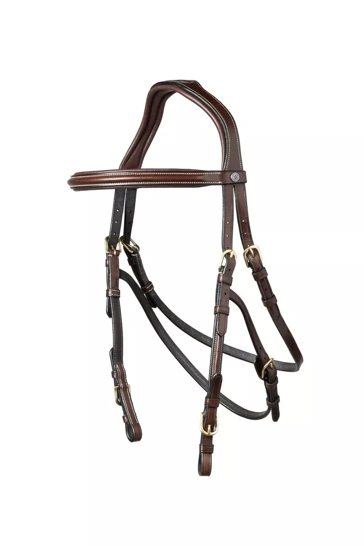 Hackamore Bridle Hickstead