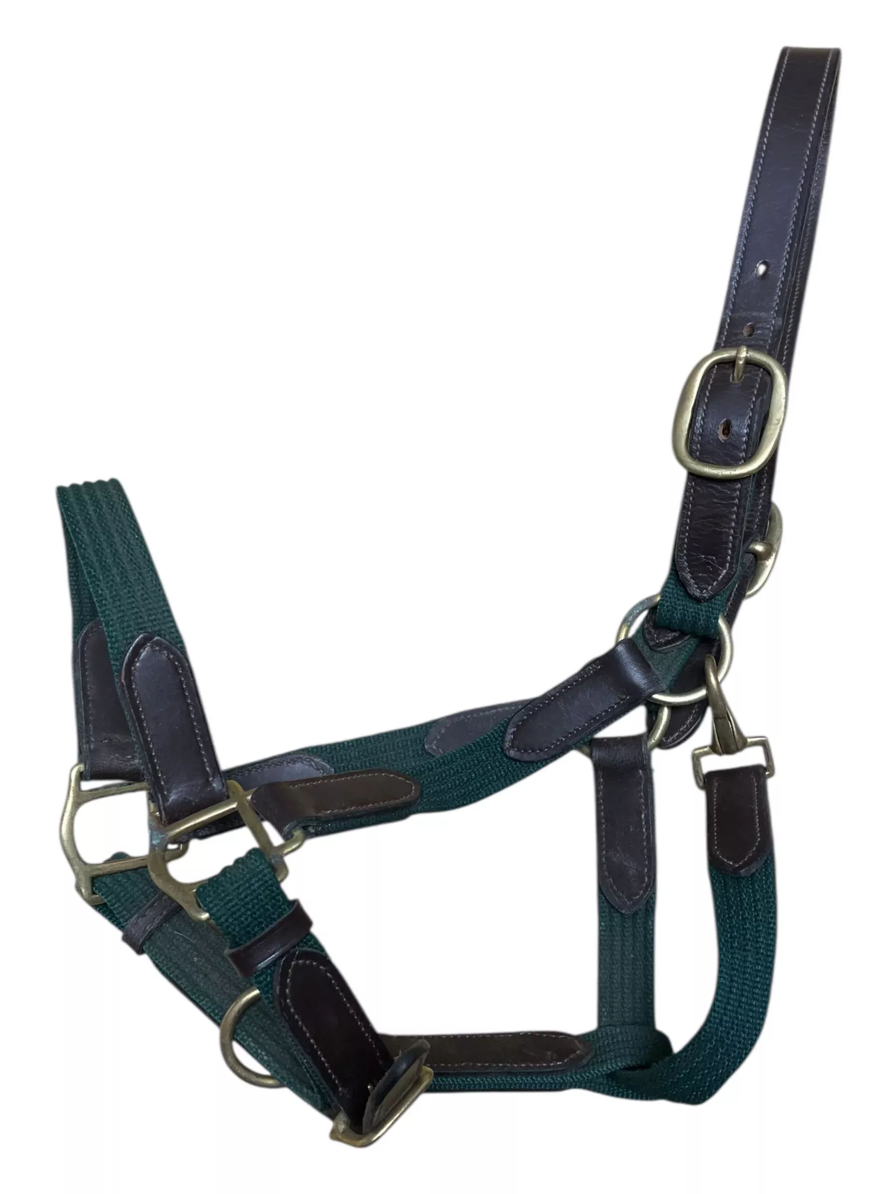 Halter - Green/Brown Leather - F/S - USED