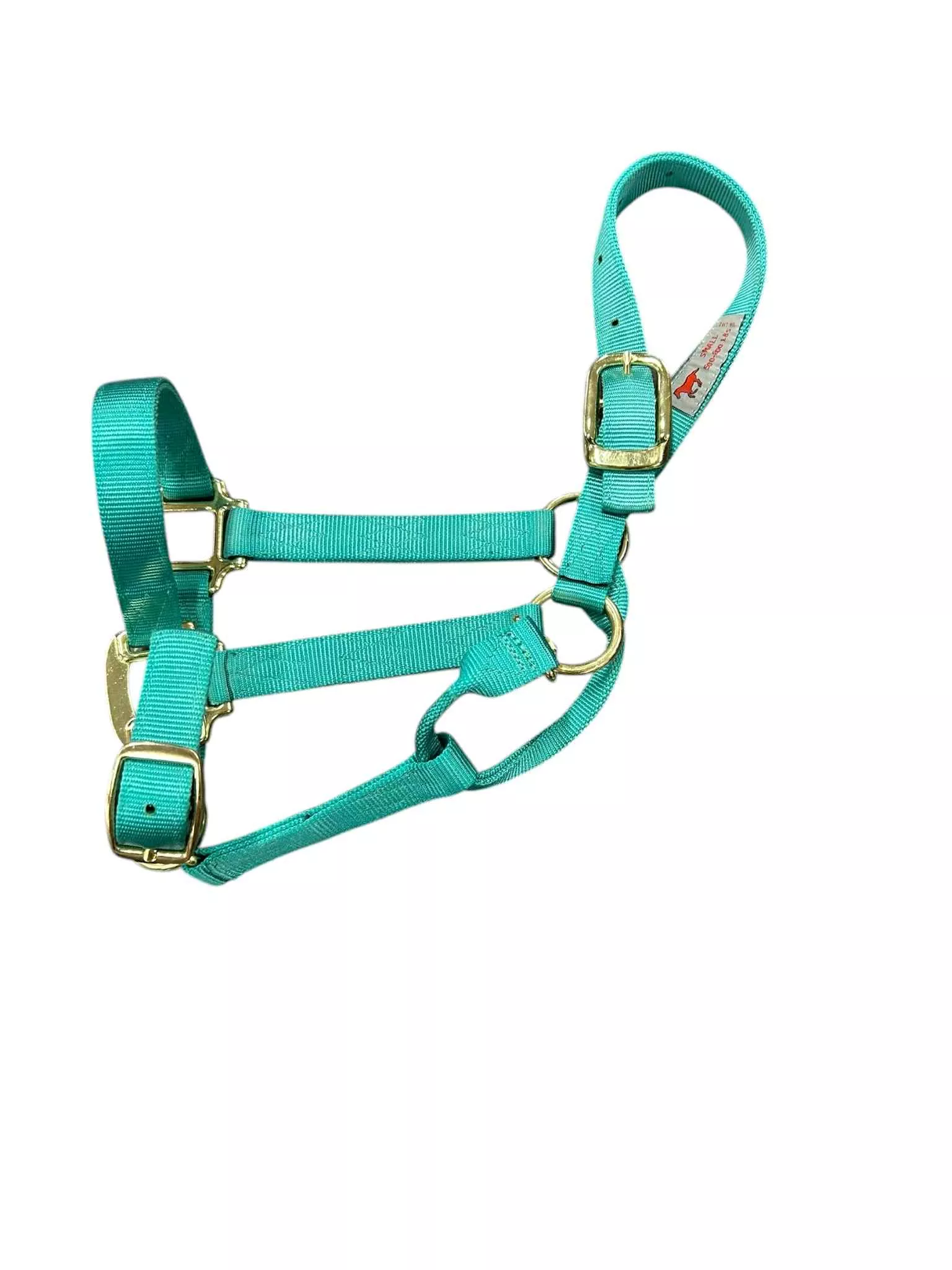 Halter - Teal - Small Horse - USED