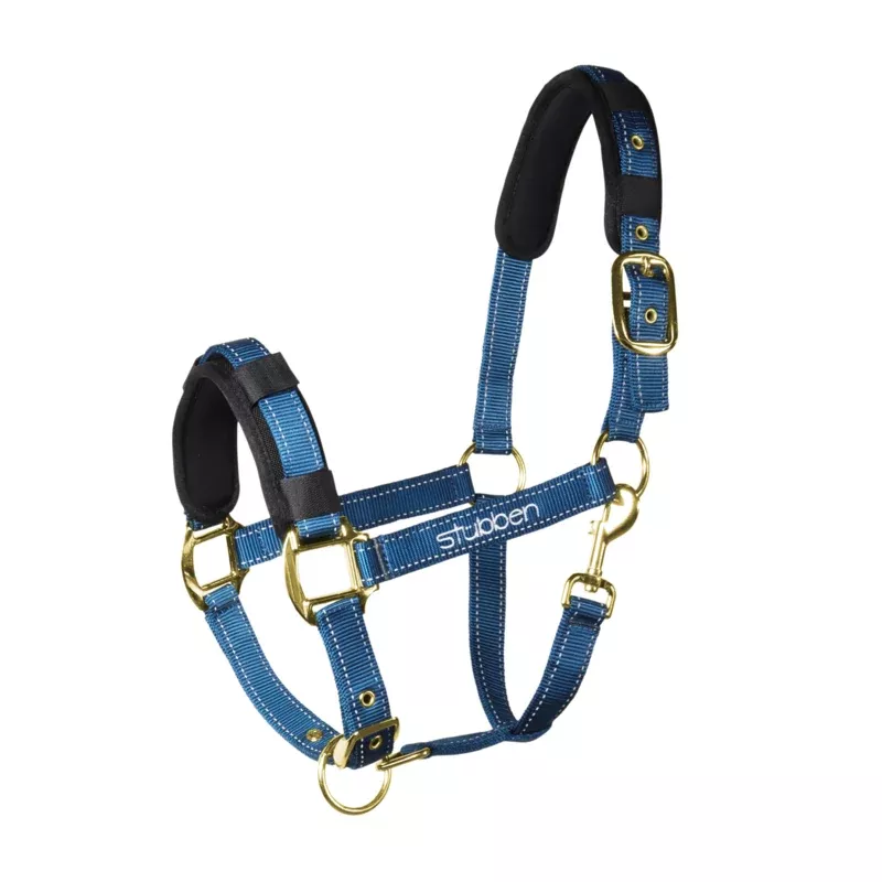 Halter with Reflecting Thread
