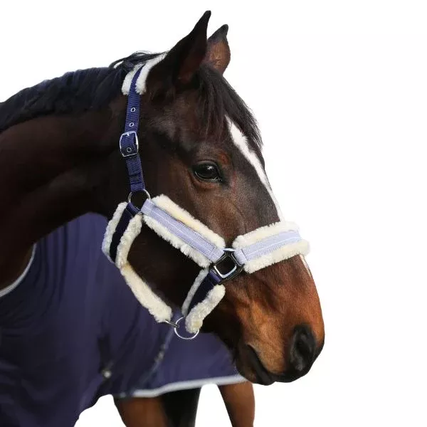 Harcour Hizia Halter