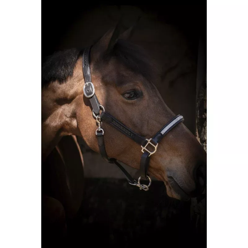 Harmonie Halter