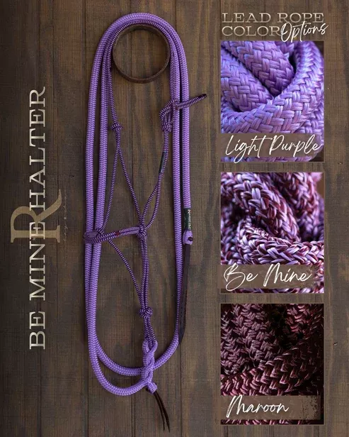 Hay Chix Timeless Halter & Lead Rope Set