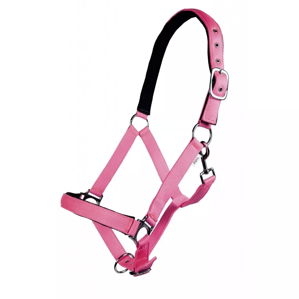 Head Collar Stars Softice With Soft Padding