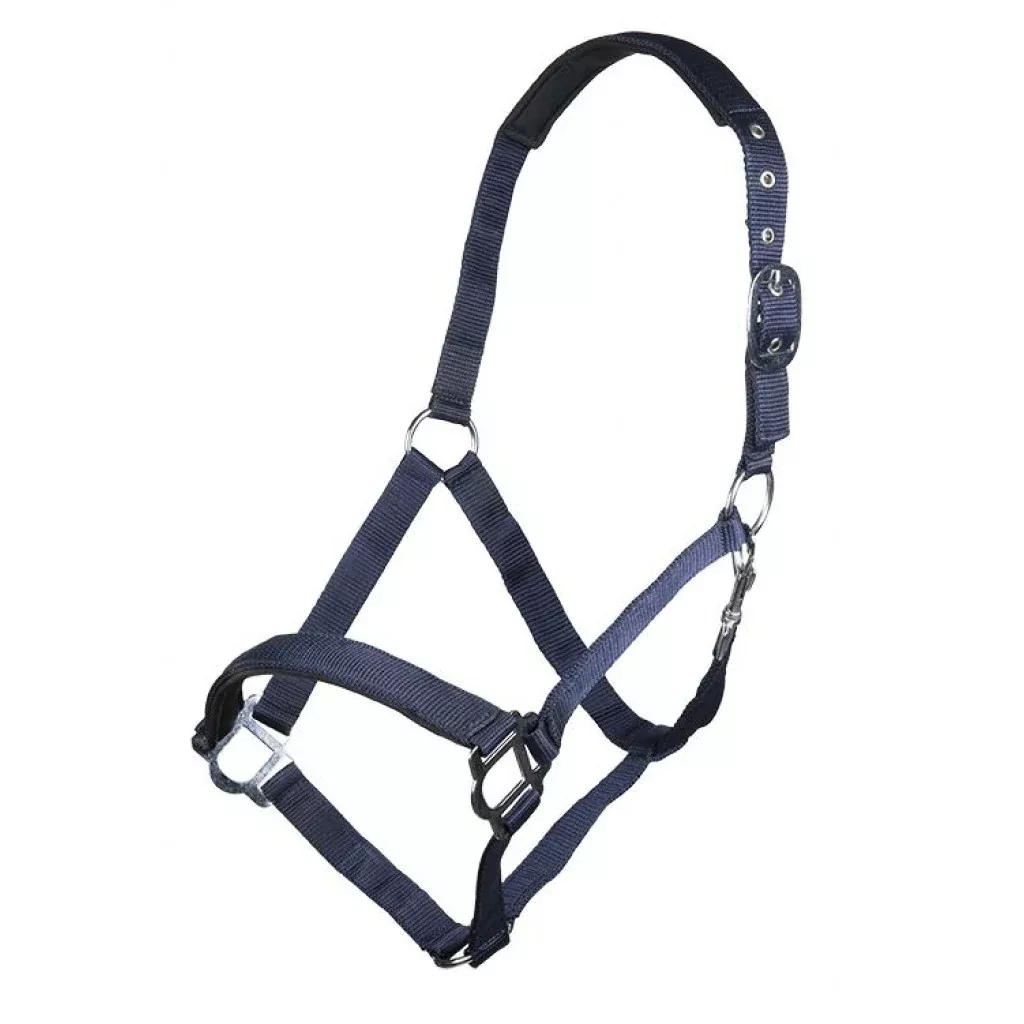 Head Collar Sydney Style with Soft Padding