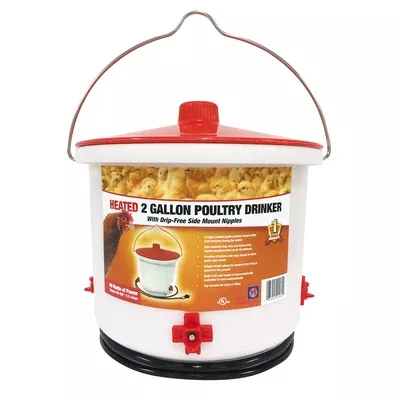 Heated Poultry Drinker