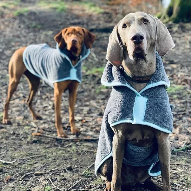 Henry Wag Dog Drying Coat