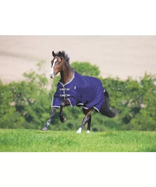 Highlander Plus Lite Standard Neck Blanket
