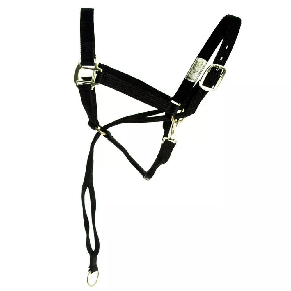 HILASON Nylon Training Halter with Poll Pressure Strap 1" Heavy Duty Adjustable