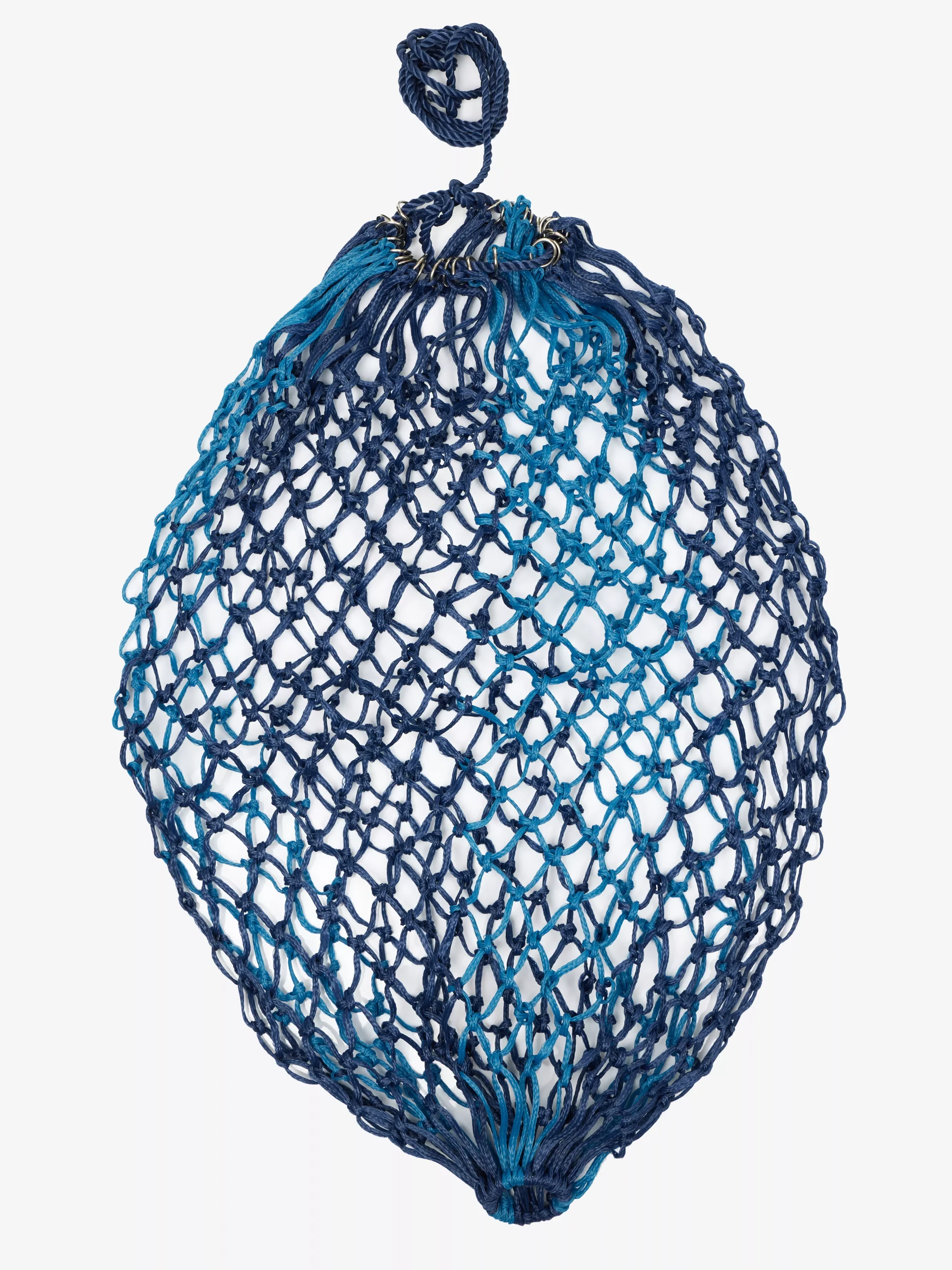 Hippo Haynet Atlantic
