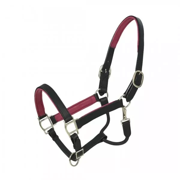 HK Americana Flat Padded Halter 1" Wide