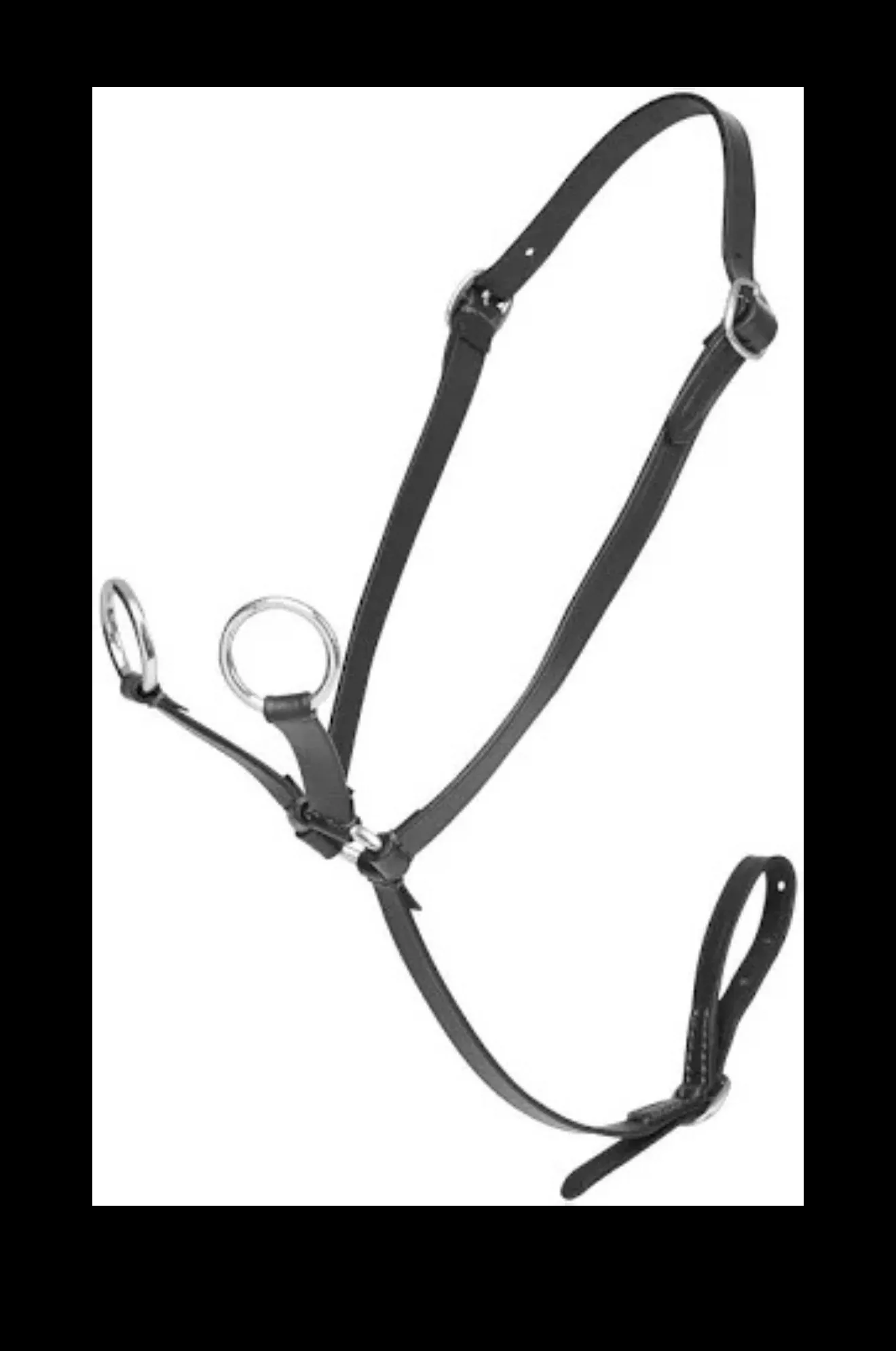 Hobby Horse Running Martingale