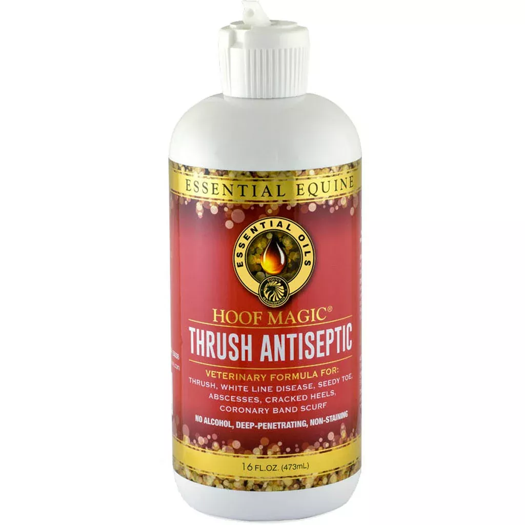 Hoof Magic Thrush Antiseptic, 16 oz