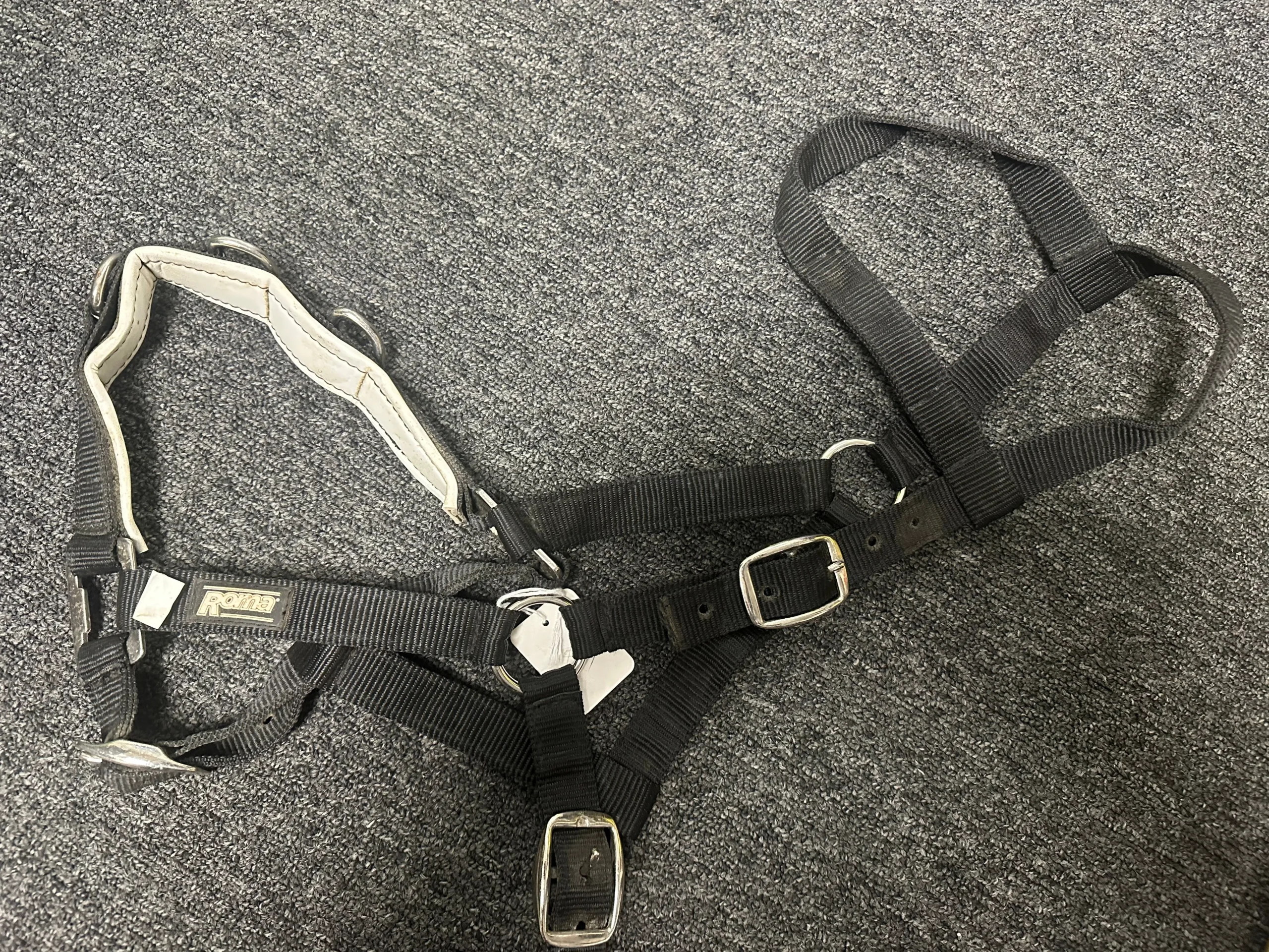 Horse Halter Assorted