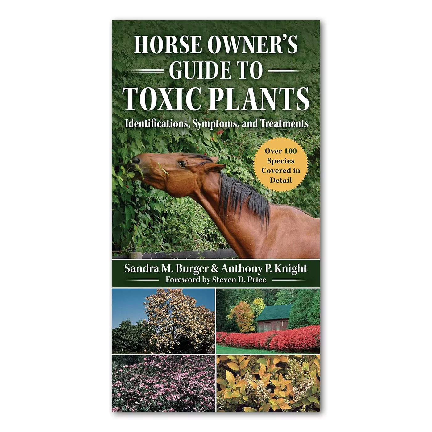 Horse Owner's Guide To Toxic Plants