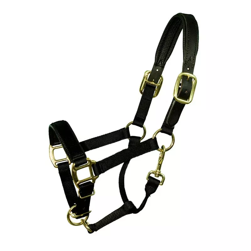 Horse Padded Breakaway Halter 70358