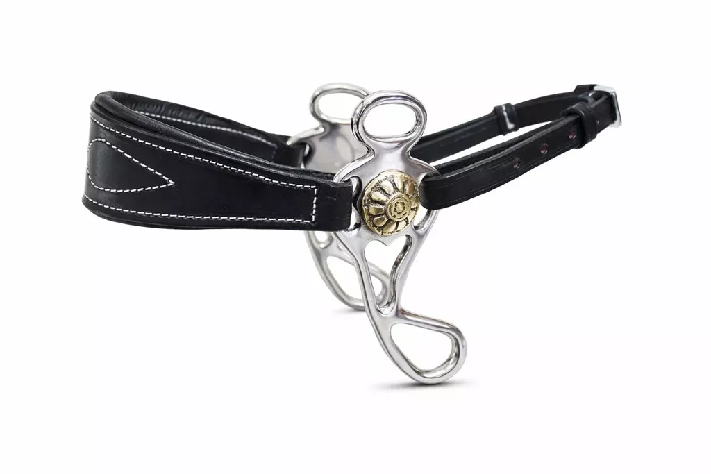 Horse Tan Leather Padded Comfort Adjustable Training Hackamore Curb 35H64