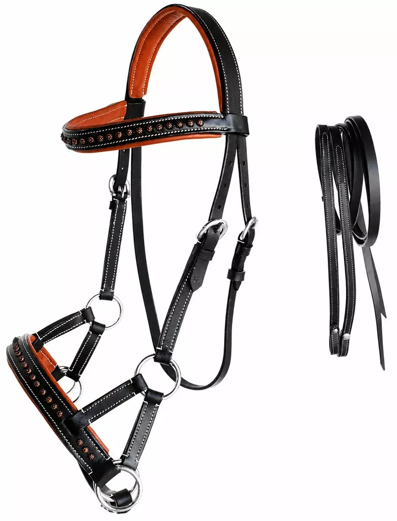 Horse Western Leather Bitless Sidepull Bridle Reins 7712