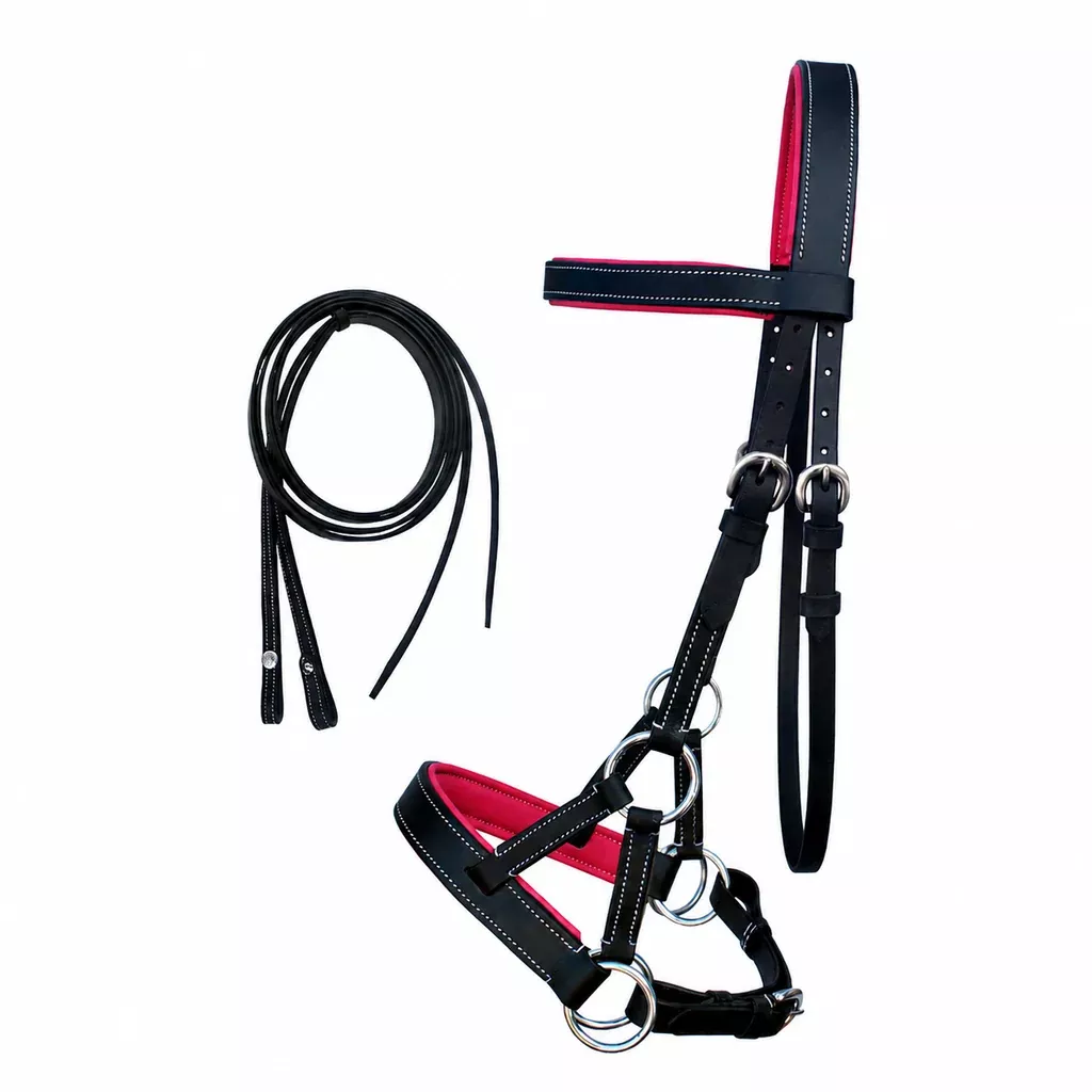 Horse Western Leather Padded Bitless Sidepull Bridle Reins 77RS33
