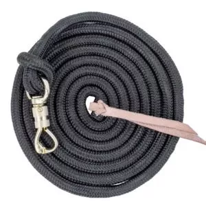 Horsemanship Lead with Swivel Snap