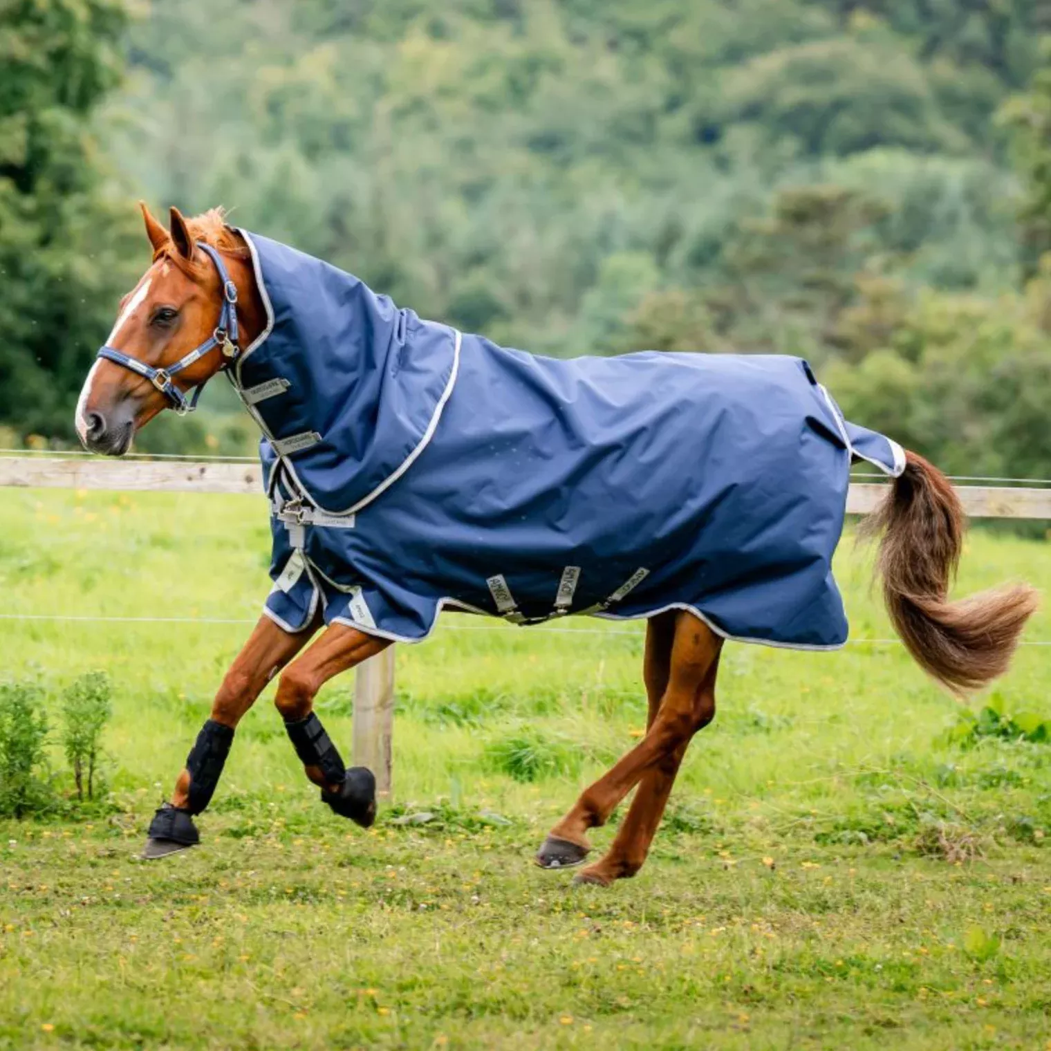 Horseware Amigo 1200D Plus Turnout 0g Rug