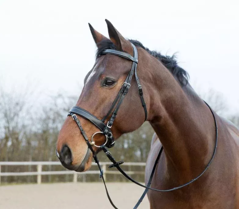 Horze Venice Bridle