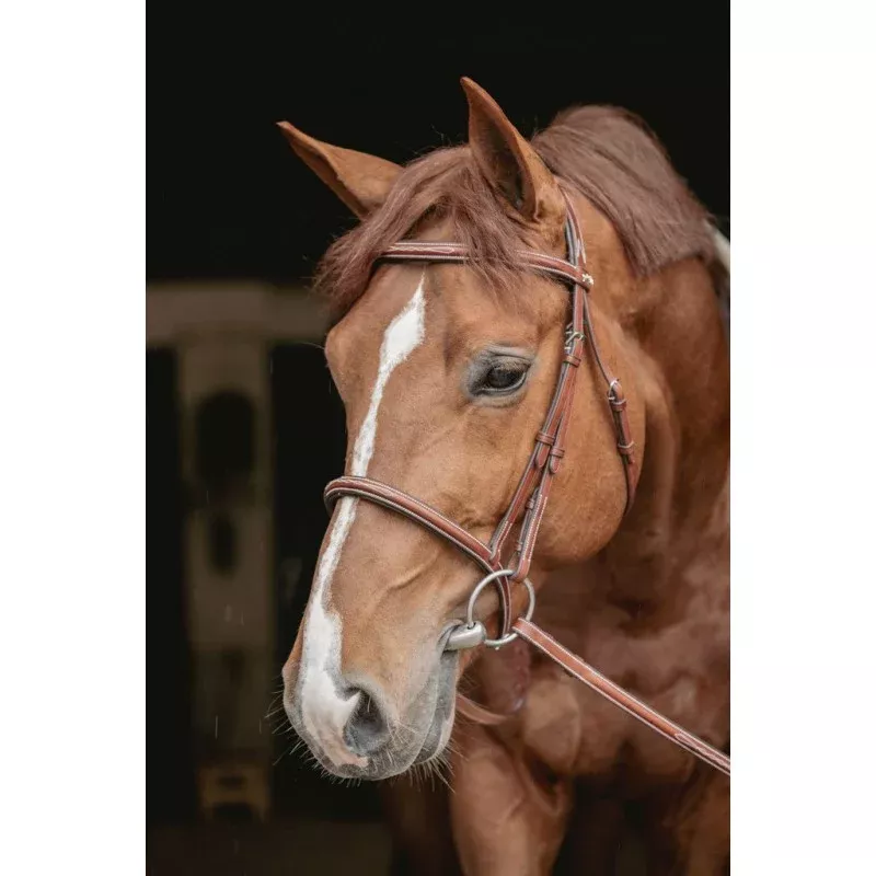 Hunter US Bridle