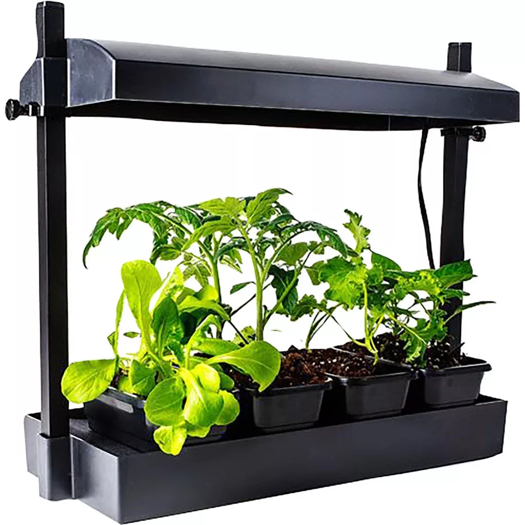 Hydrofarm SunBlaster Micro Sized LED Grow Light Garden Kit, Black