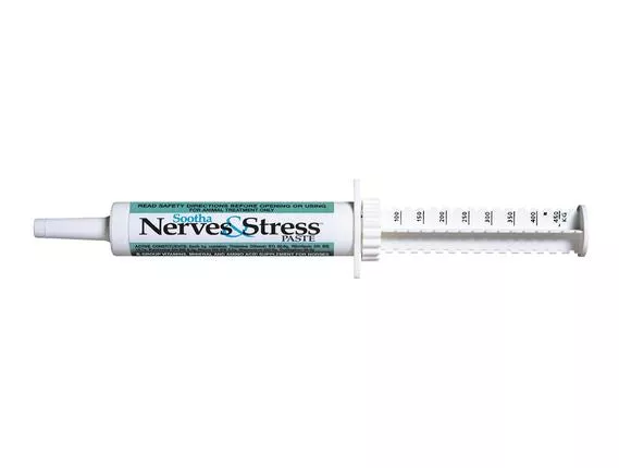 IAH Sootha Nerves and Stress Paste