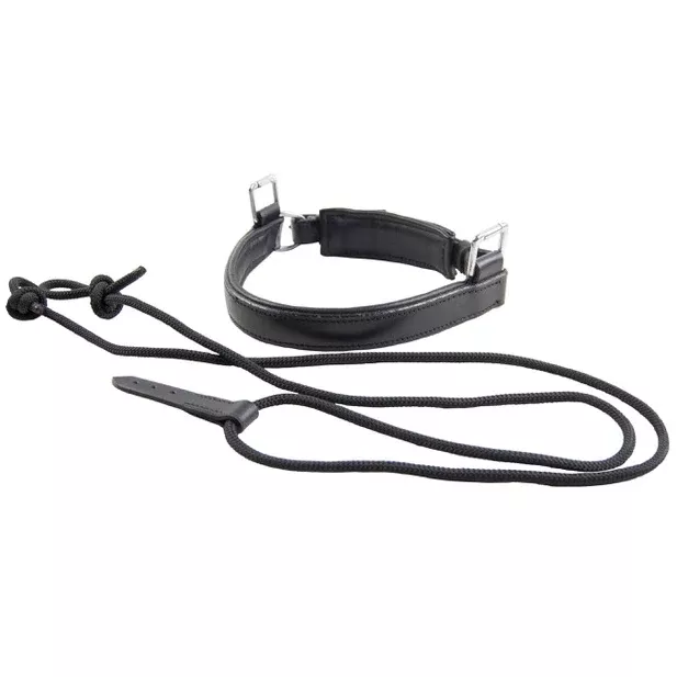 Ideal Bitless Noseband for Driving Bridle