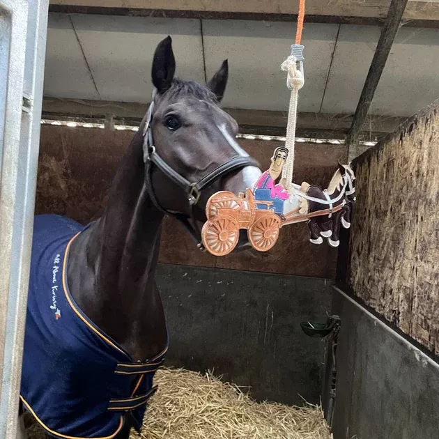 Ideal Horse Toy
