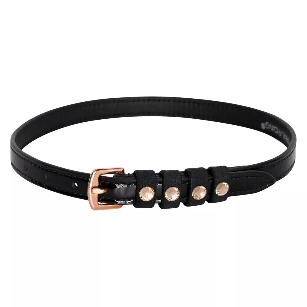 Imperial Riding Spurstraps Leather IRHPardouz