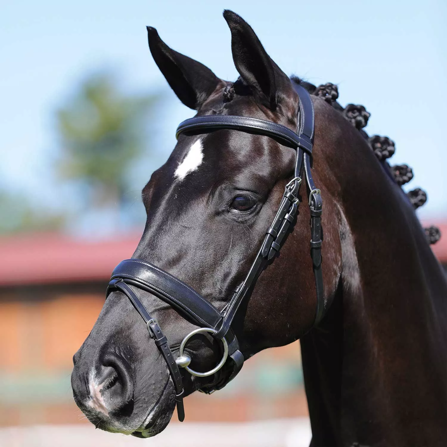 Italian Leather Bridle Filosofia