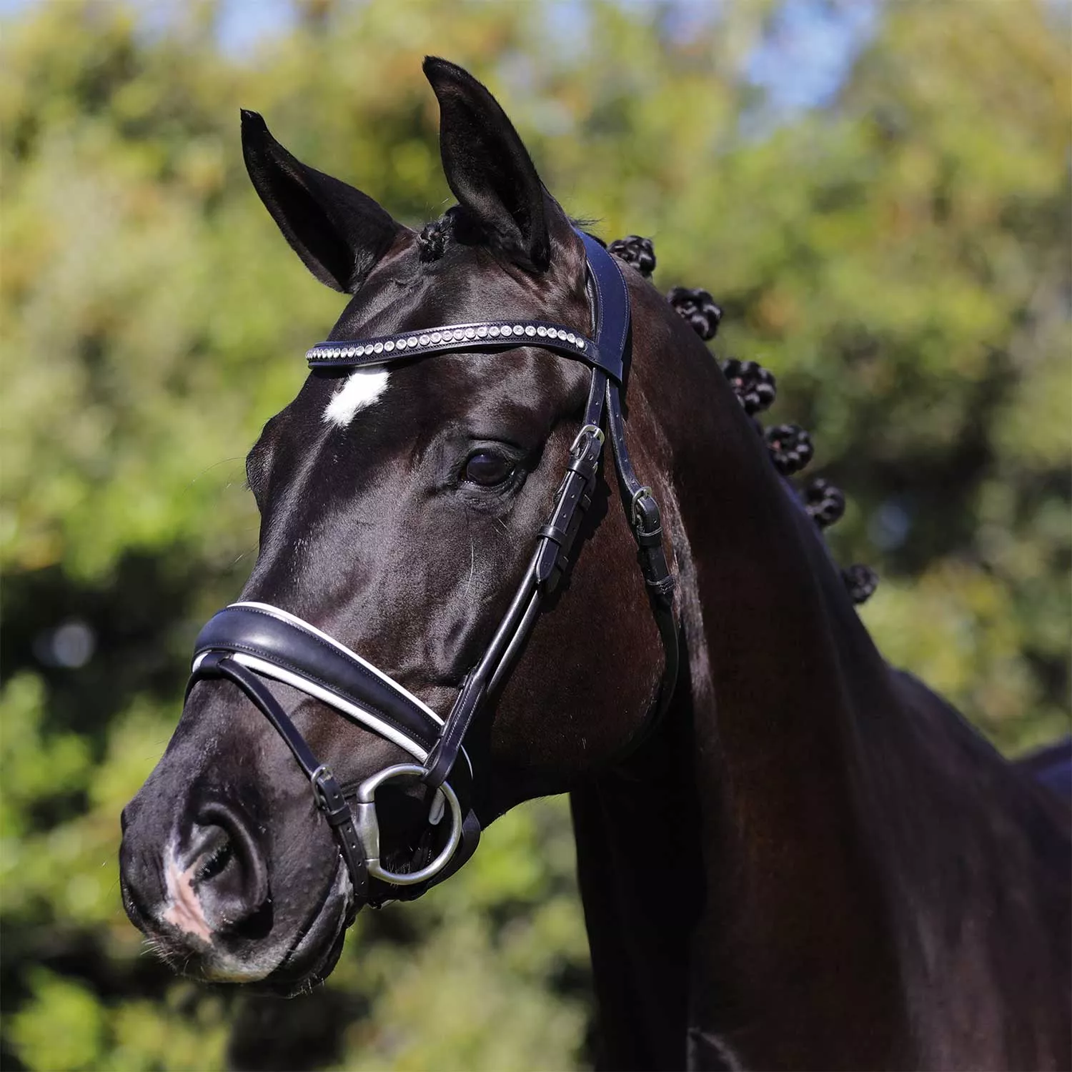 Italian Rolled Leather Bridle Poesia