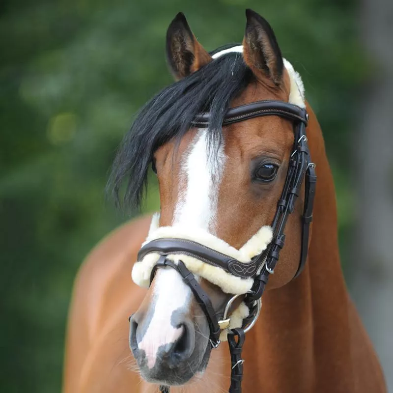 "Ivy Lambskin" Bridle