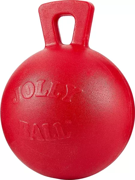 Jolly Ball With Handle