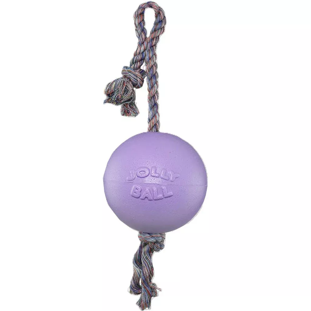 Jolly Pets Romp-n-Roll Ball Light Purple Large 8 In