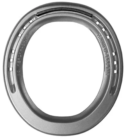 Kerckhaert Triumph Aluminum Eggbar Quarter Clipped