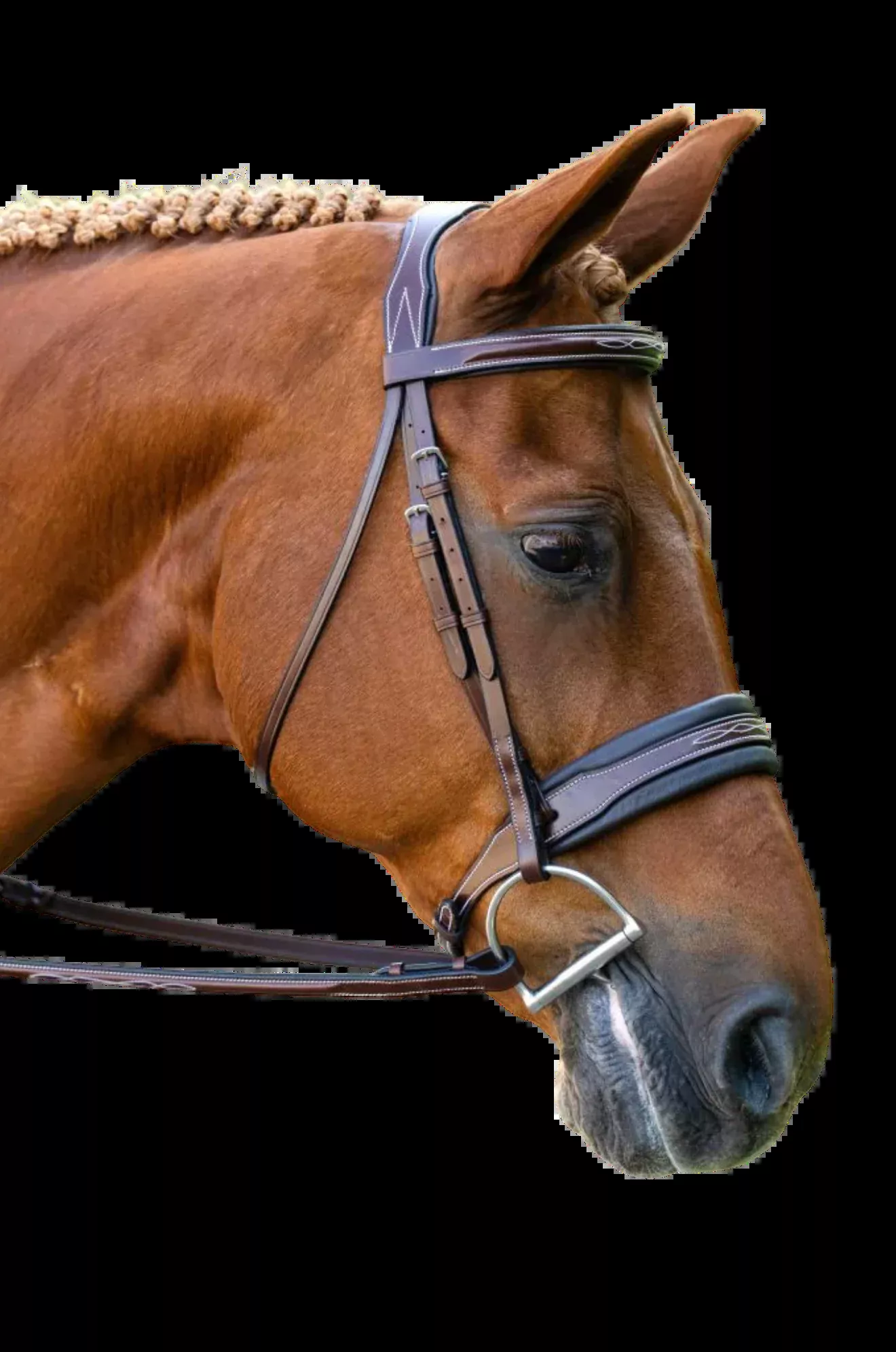 KL Lexington Bridle