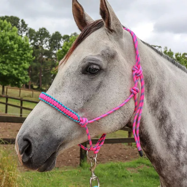 Knotted Rope Halter with Ring