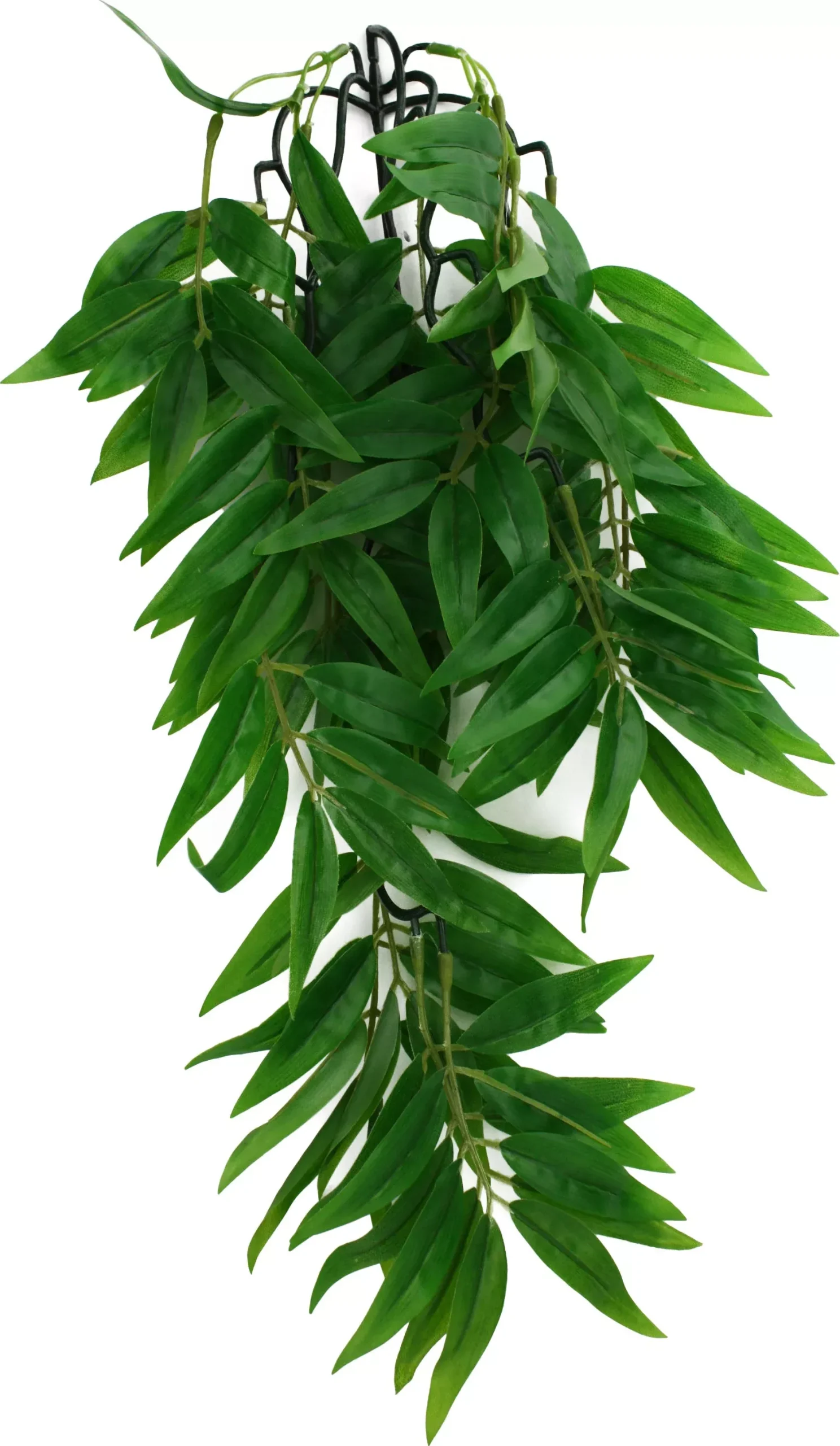 Komodo Bamboo Climbing Plant Medium 16 in Green/Red
