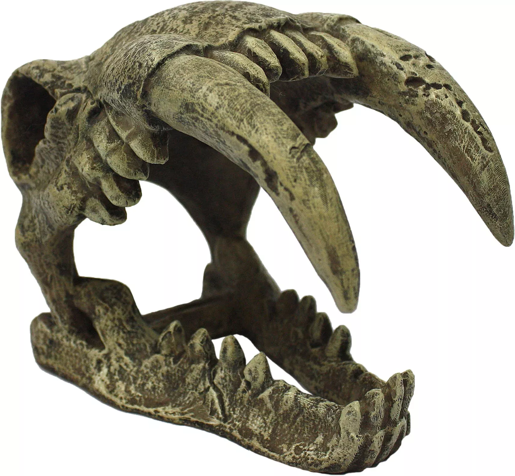 Komodo Sabertooth Skull Terrarium Decor, Large, Natural